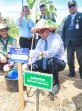 Wako Agung dan Kepala Daerah Tiga Negara Tanam Pohon di Komplek Perkantoran Tenayan Raya