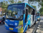 Trans Metro Pekanbaru Gratis Selama 3 Hari