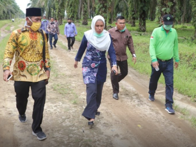 Komisi III DPRD Riau Tinjau Program Pertanian dan Peternakan PT. PSU