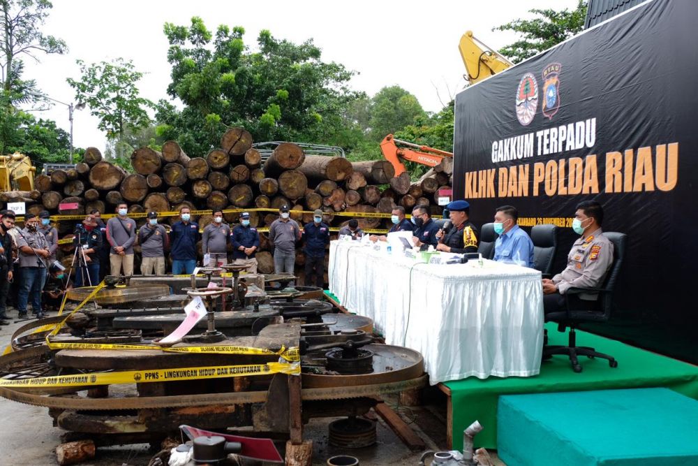 Polda Riau dan Gakkum KLHK Tindak Puluhan Sawmill Penampung Kayu Ilegal Dari SM Rimbang Baling