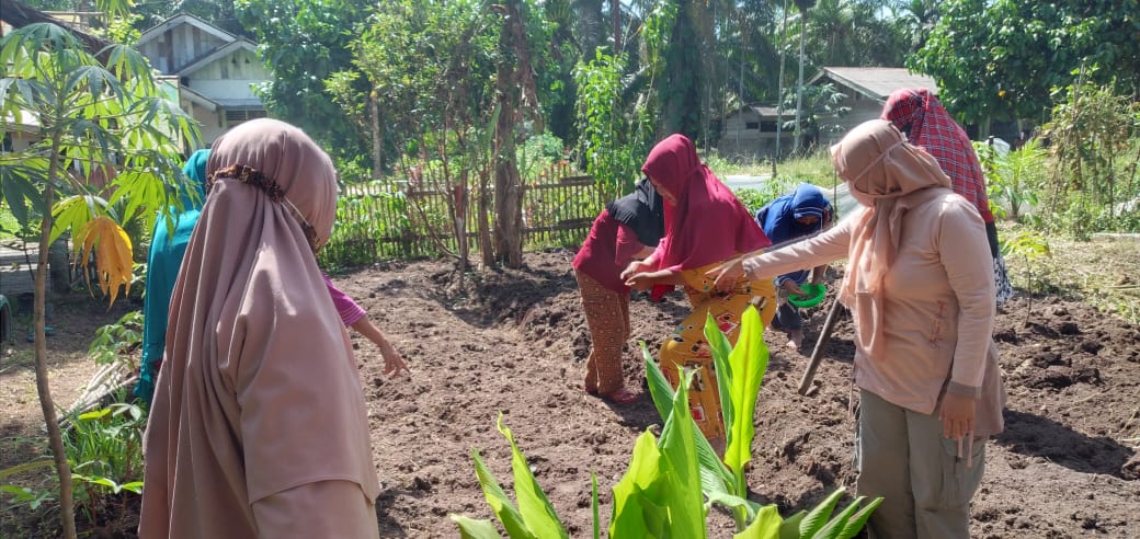 MLH Riau Dampingi Kelompok Tani di Kecamatan Tapung  untuk Kelola Lahan Gambut