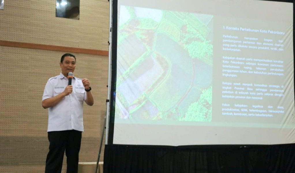 Potensi Sawit Pekanbaru Capai 24 Ribu Hektare, Pemko Siapkan RAD-KSB