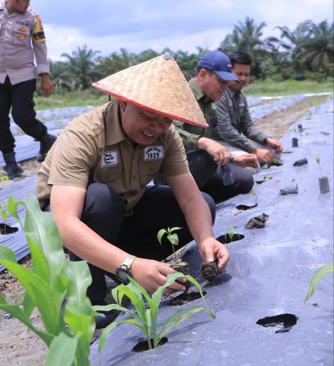 Manfaatkan Pekarangan Rumah, Sekda Pekanbaru Dorong Seluruh Masyarakat Lawan Inflasi