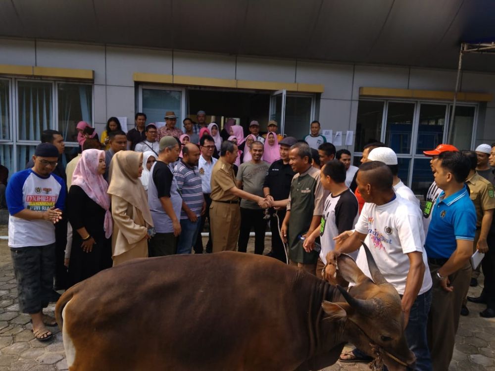 Momen Idul Adha, Gubernur Riau Syamsuar Serahkan Sapi Kurban ke PWI Riau
