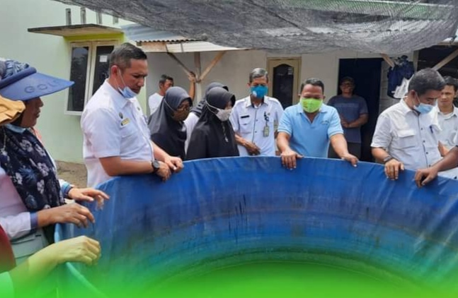 Kadis Ketapang Bangga Akan Hasil Panen KT Mentangor Jaya