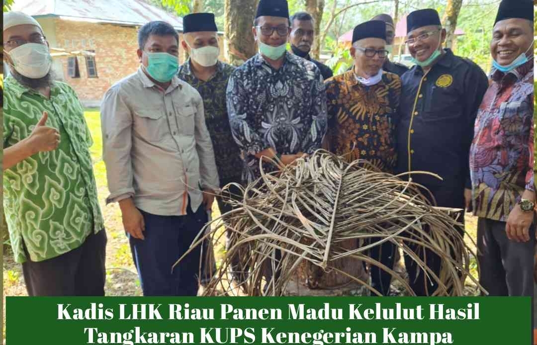 Kadis LHK Riau Panen Madu Kelulut Hasil Tangkaran KUPS Kenegerian Kampa