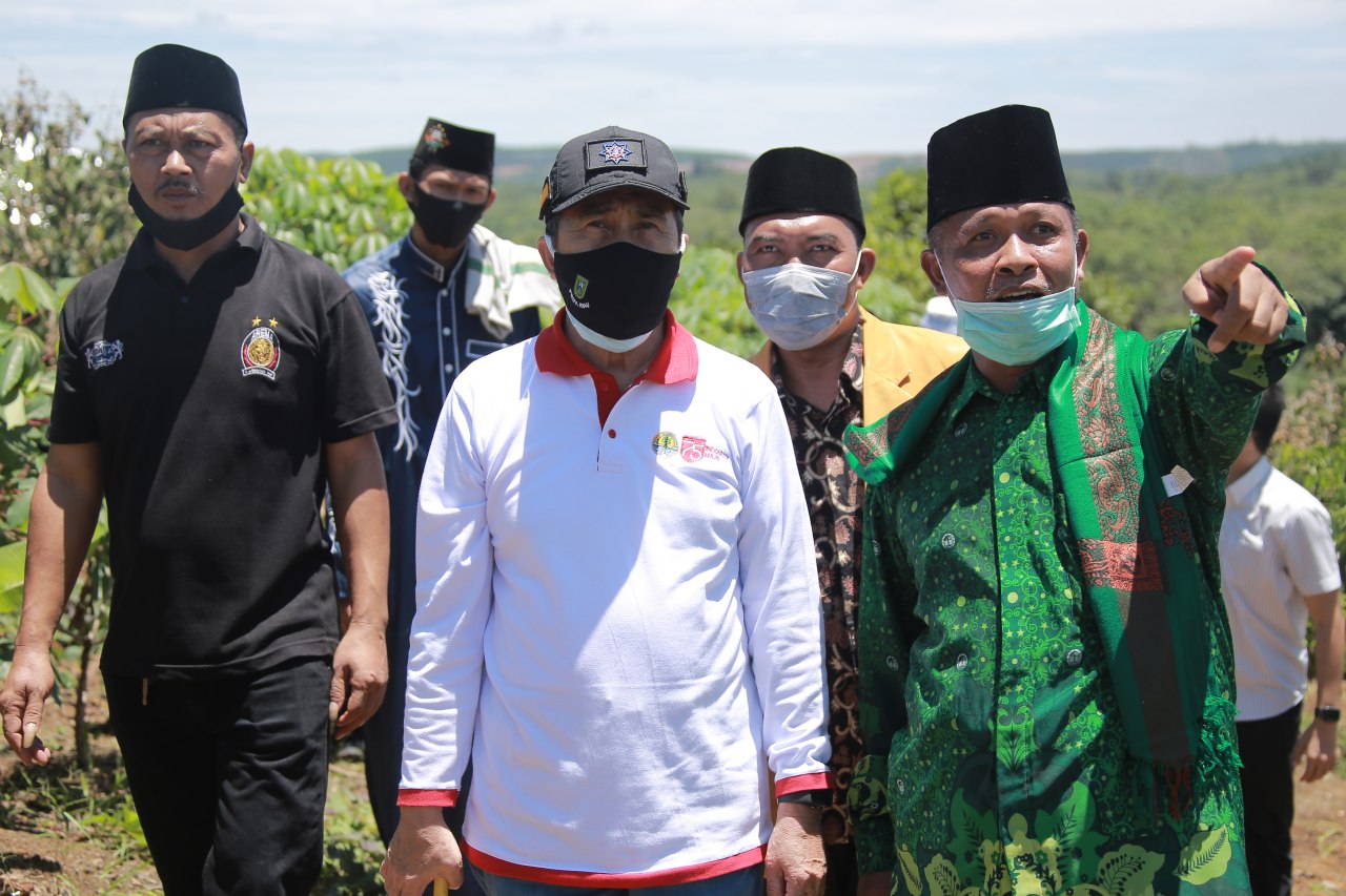 Gubernur Riau Hadiri Panen Raya Buah Kelengkeng di Ponpes Al Mujtahadah 