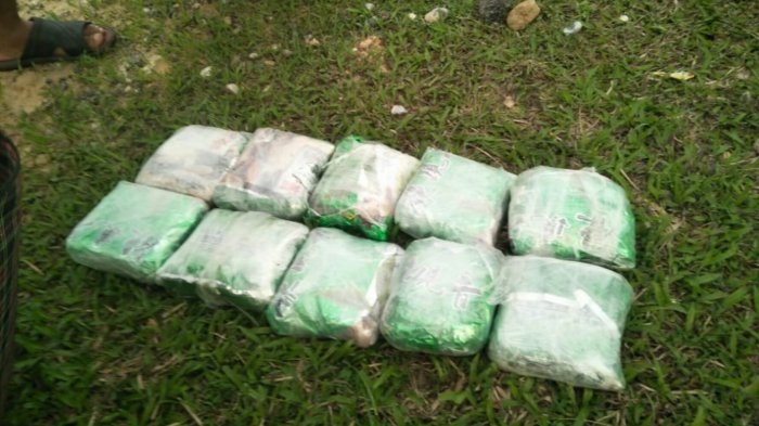 Pasutri Tertangkap Bawa Narkoba 10 Kg di Siak Diduga Jaringan Internasional Malaysia