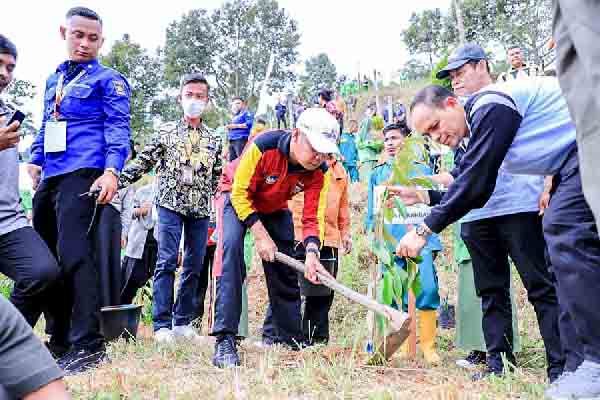 Pj Wako Pekanbaru IkutiTanam Bibit Pohon pada Rakernas Apeksi XV
