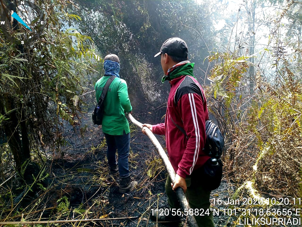 Kawasan Hutan Negara Konservasi Suaka Margasatwa Giak Siak Kecil Terbakar