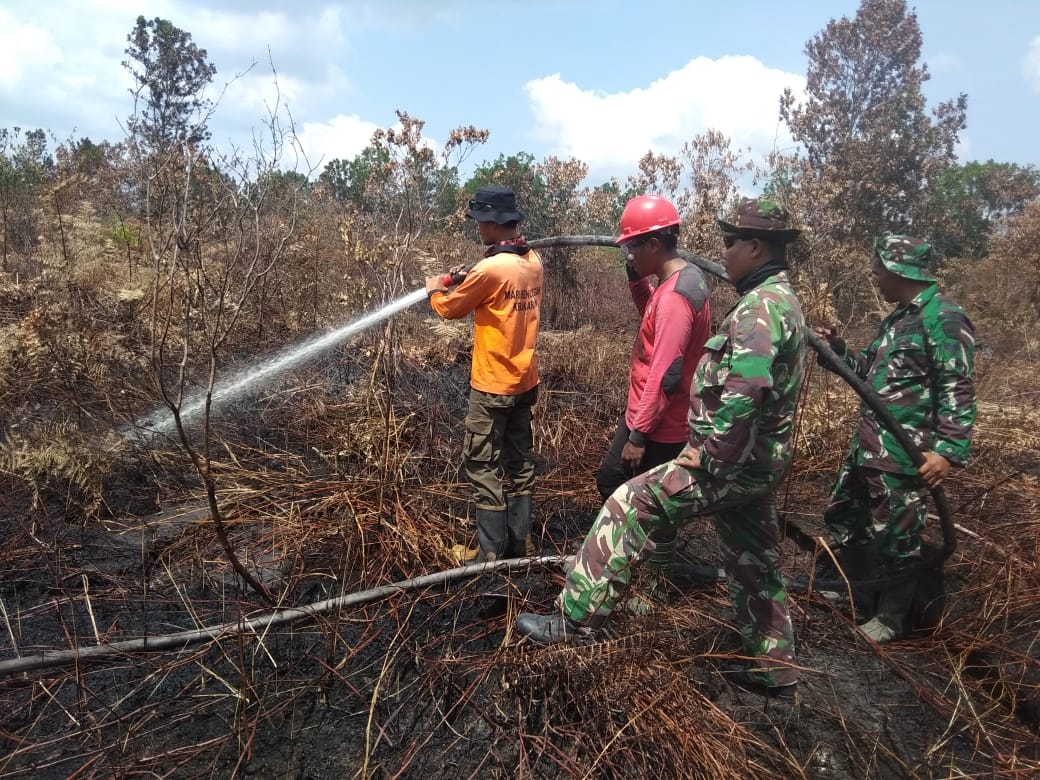 Puluhan Hektare Lahan Kosong di Air Hitam dan Palas Terbakar, Petugas Berjibaku Padamkan Api