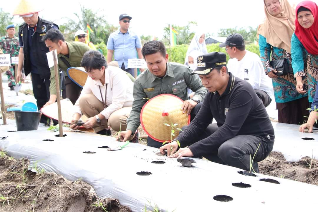 Gerakan Tanam Cabai dan Bawang Merah, Cara Pemko Pekanbaru Kendalikan Inflasi Daerah