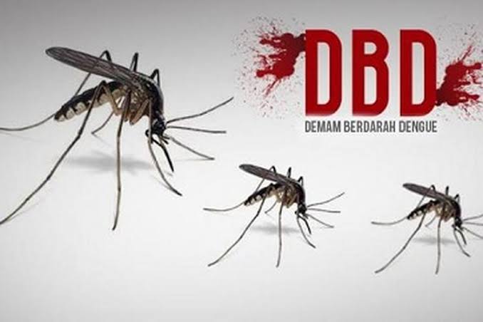 DBD di Pekanbaru Tembus 432 Kasus, Terbanyak di Tenayan Raya