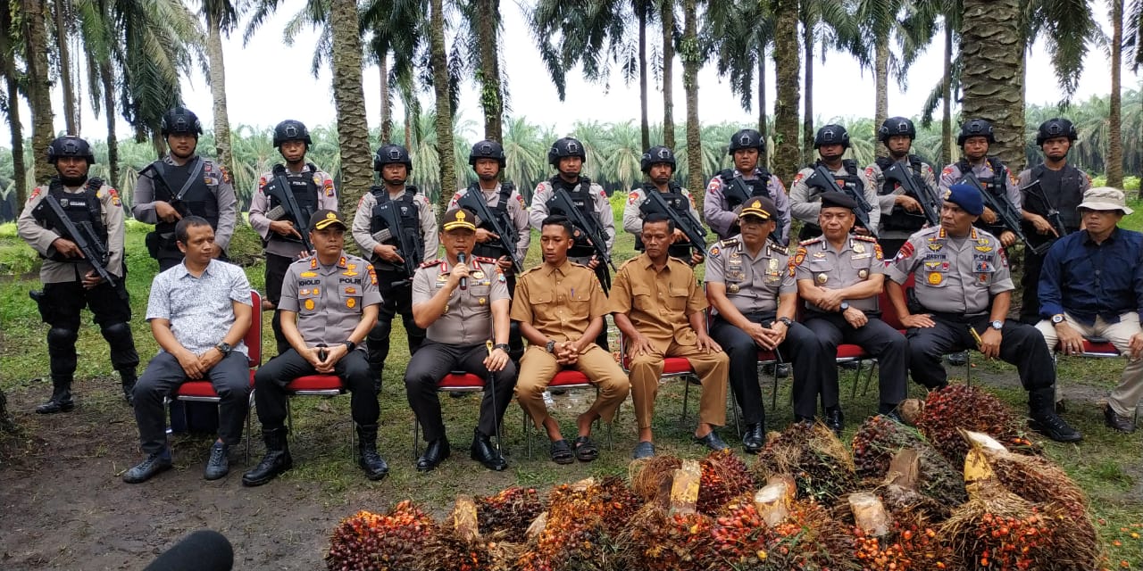 Kapolda Riau Adakan Konferensi Pers Tindak Pidana Pencurian di Kawasan Perkebunan Sawit