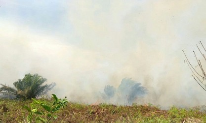 Kabut Asap Riau Belum Menyeberang ke Malaysia dan Singapura