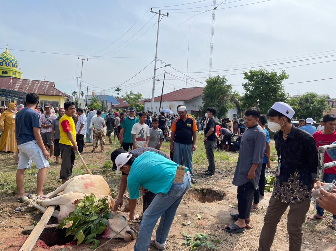 Peran Mahasiswa KKN-DR Plus UIN Suska Riau dalam Kegiatan Penyembelihan Hewan Kurban di Masa Pandemi