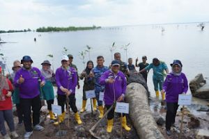 Jaga Ekosistem Laut, DLHK Riau Tanam 1.500 Bibit Mangrove di Pantai Marina Dumai