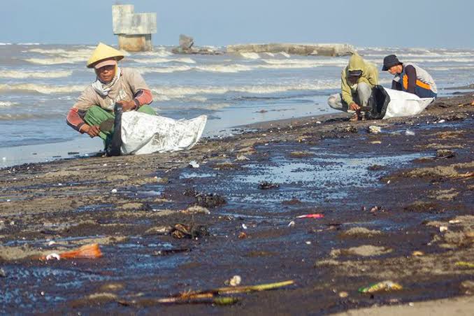 Minyak Mentah dari Pipa Offshore Pertamina Bocor Menyebar ke Muara Sungai di Karawang