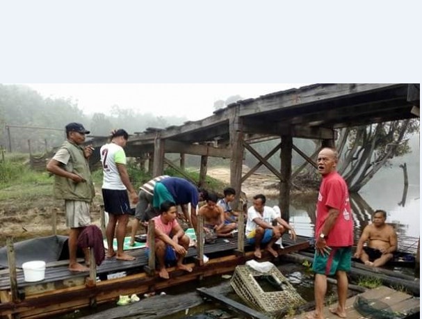 Pemkab Pelalawan Tak Juga Anggarkan Pembangunan Jembatan, Dua Desa di Langgam Kecewa